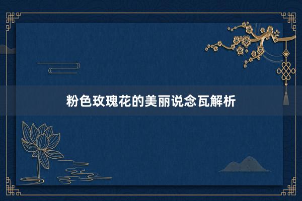 粉色玫瑰花的美丽说念瓦解析